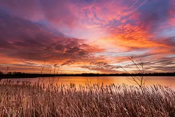 Hersden Chislet Gaps First Light