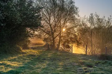  River Stour Sunrise Chislet