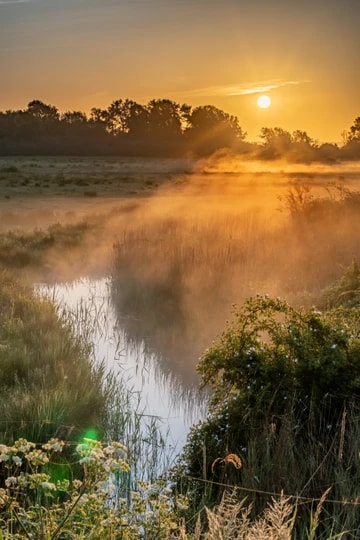 Stodmarsh, Grove Ferry, First Light Sunrise Portrait