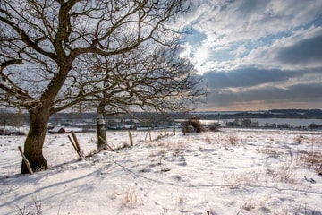 Hersden Hoplands Snow