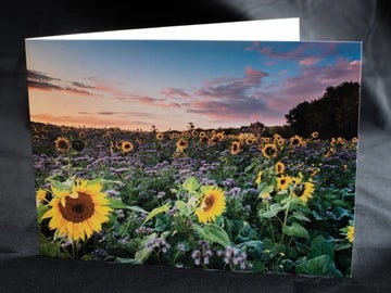 Sunflowers greetings card