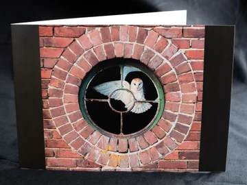 Barn owl in bullseye window greetings card