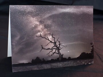 Stodmarsh dead tree and Milky Way greetings card
