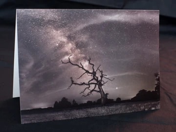 Stodmarsh dead tree and Milky Way greetings card