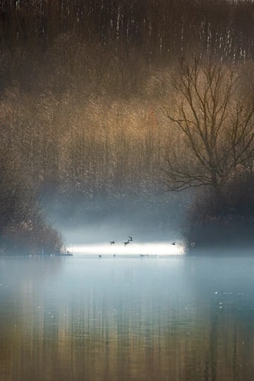 Fordwich In The Mist 2 Portrait