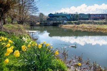 Flying Scotsman at Chilham