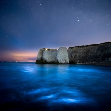 Botany Bay Bioluminescence