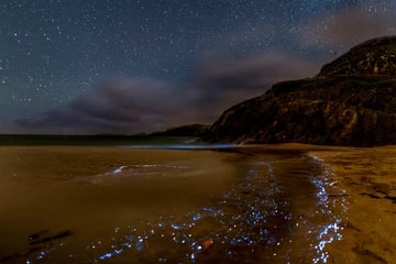 Ireland Coumeenoole Beach And Bioluminescence 