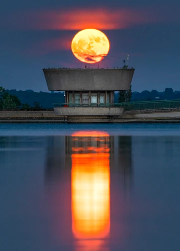 Bough Beech Flower Moonrise