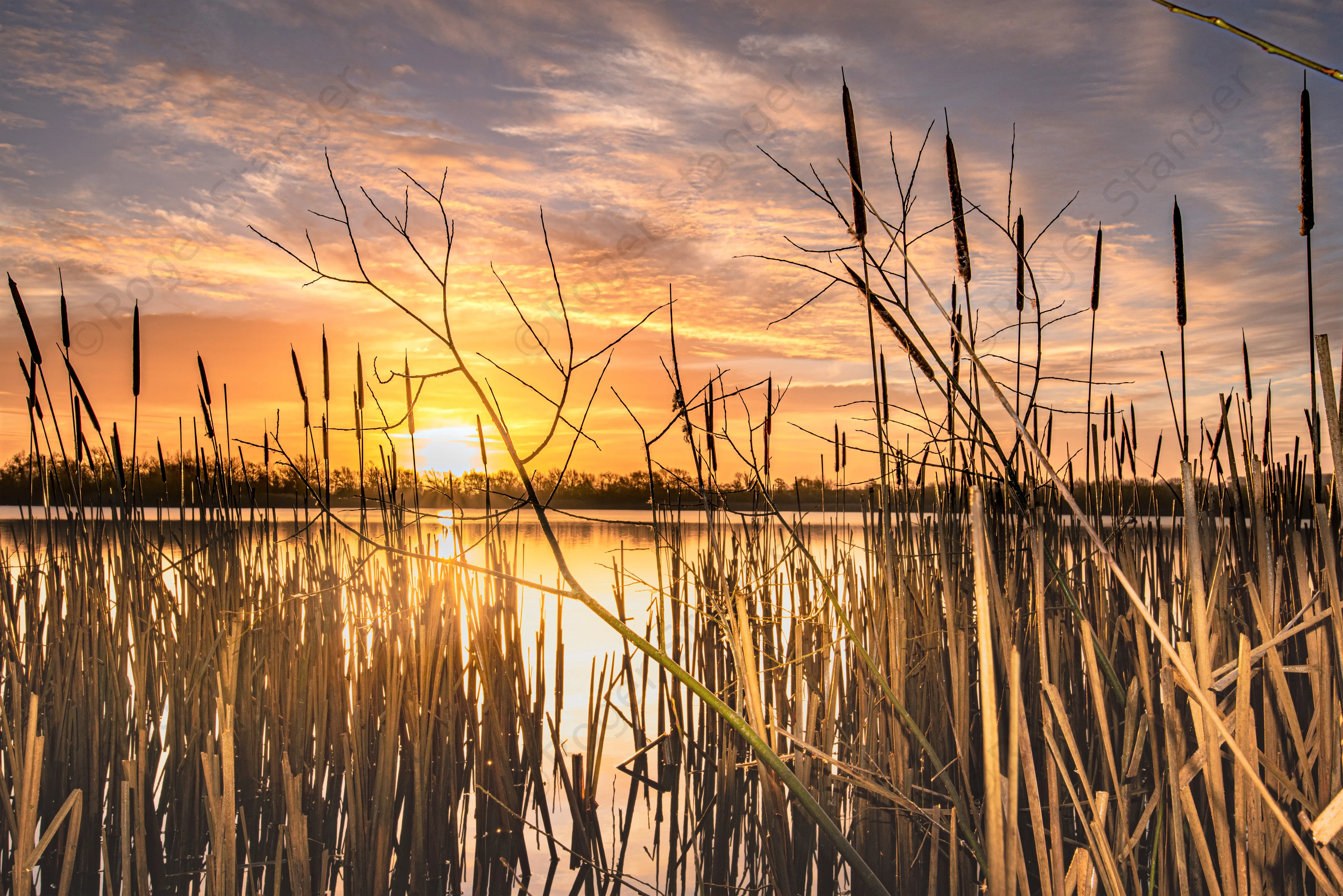 Hersden Gaps Sunrise 