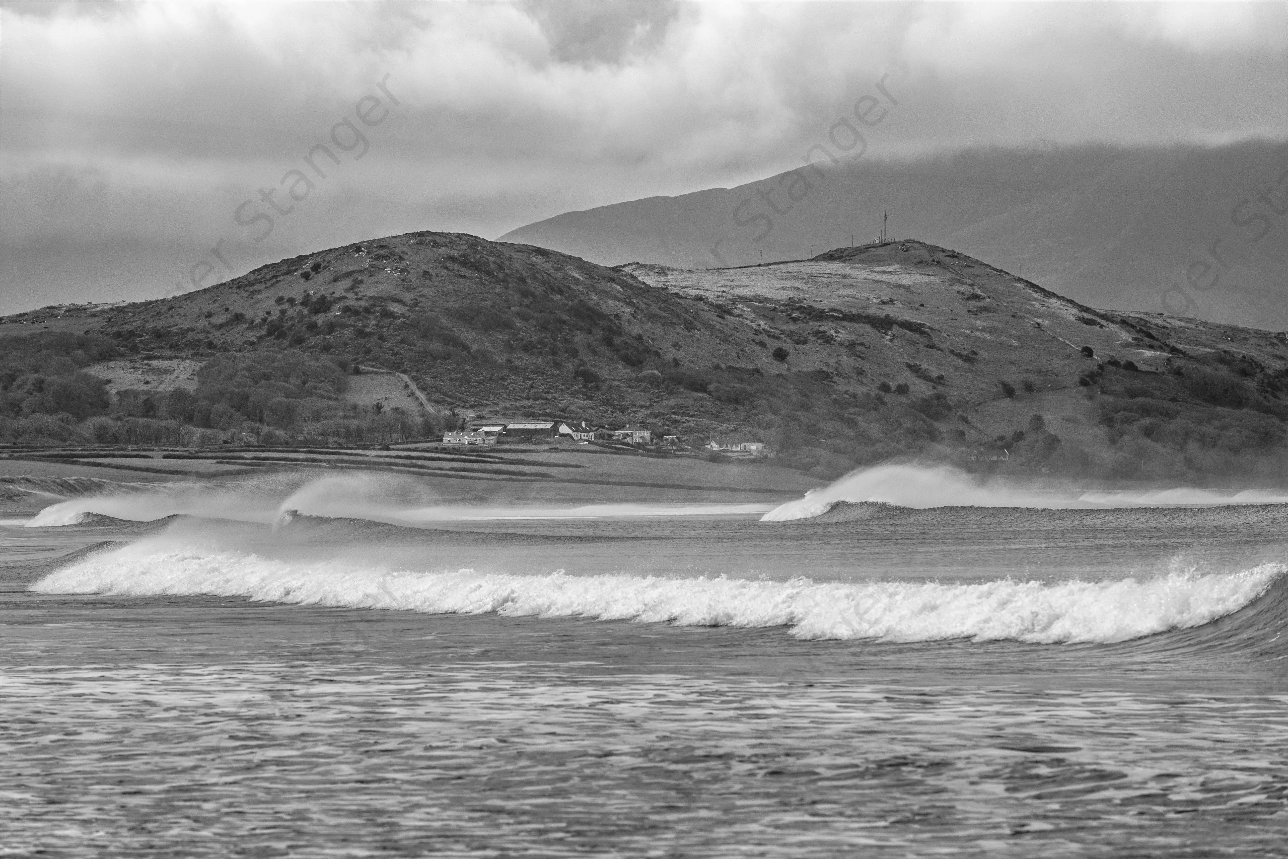 Stradbaly Surfs Up Black and White