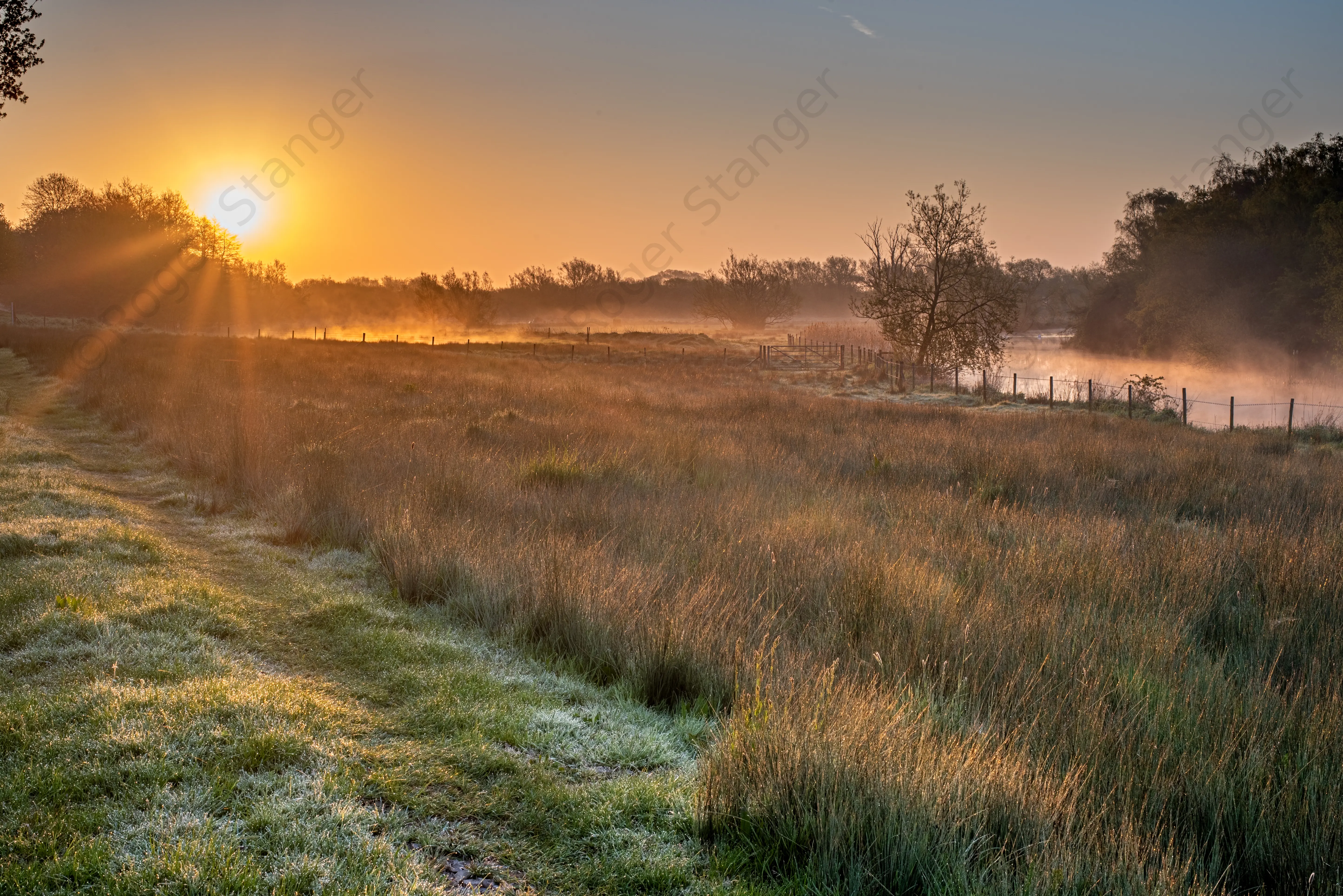 Hersden Fog 1