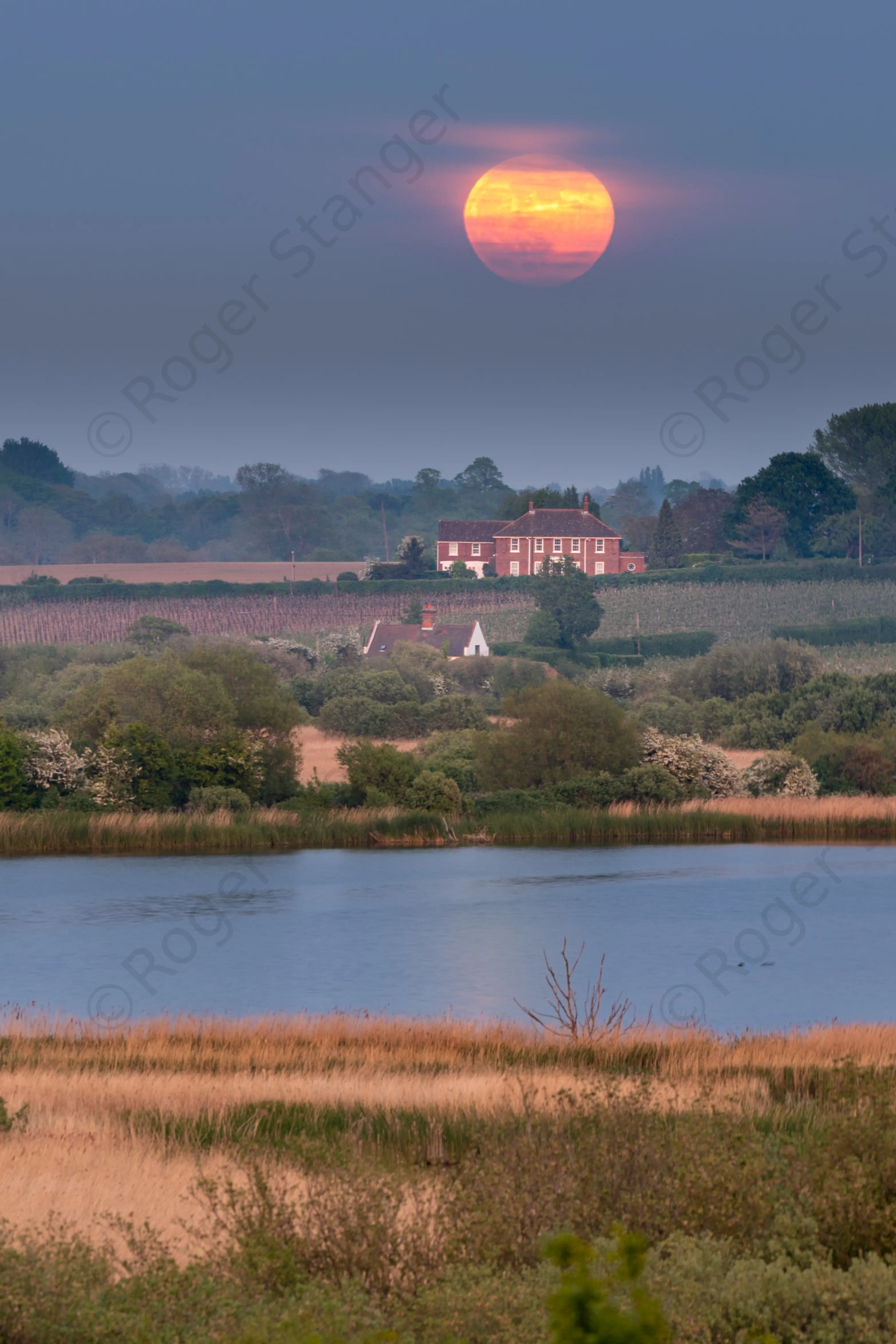 Stodmarsh Moonrise Portrait