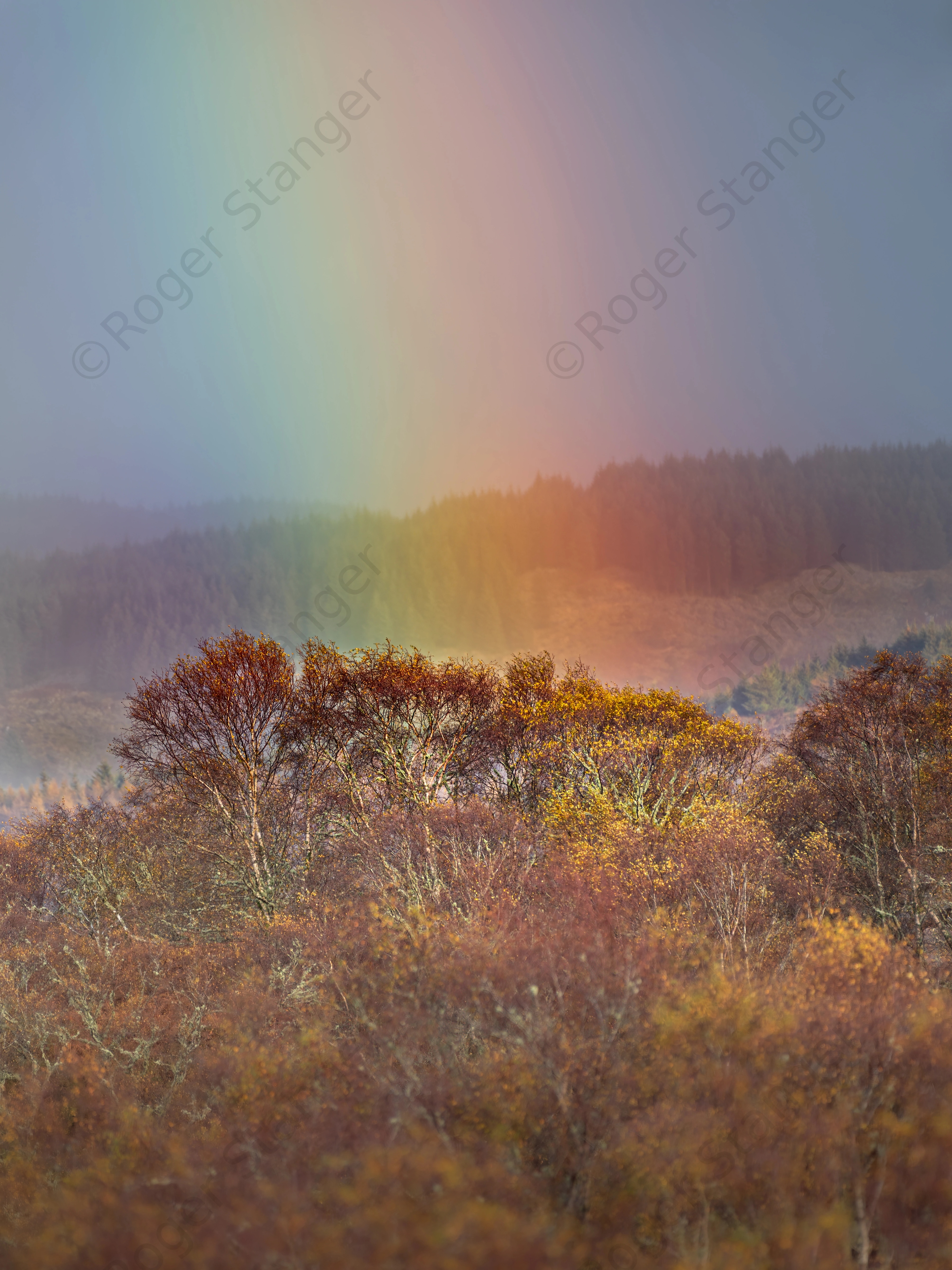 Tayvallich Rainbow 