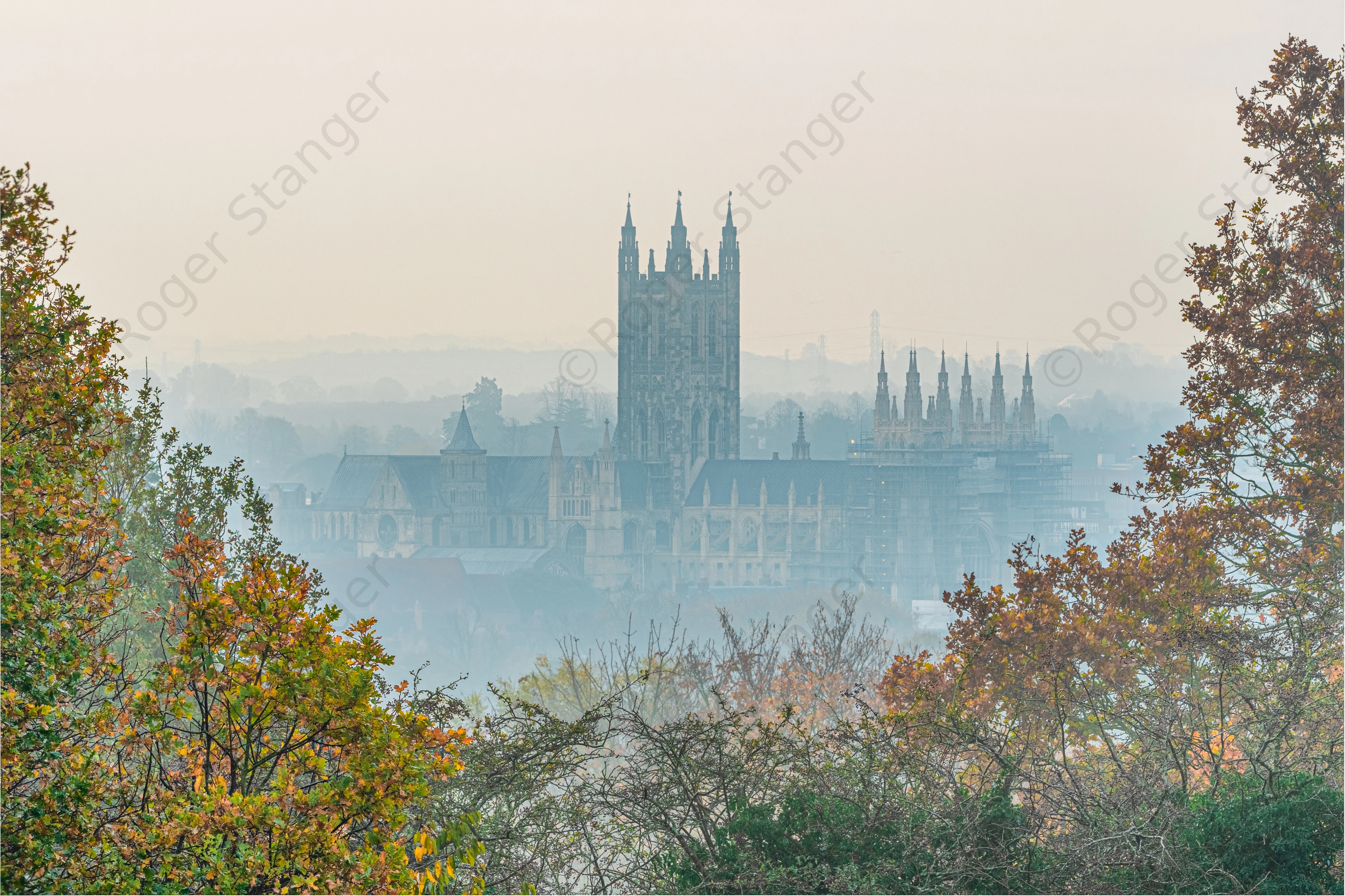 Cathedral Through The Trees