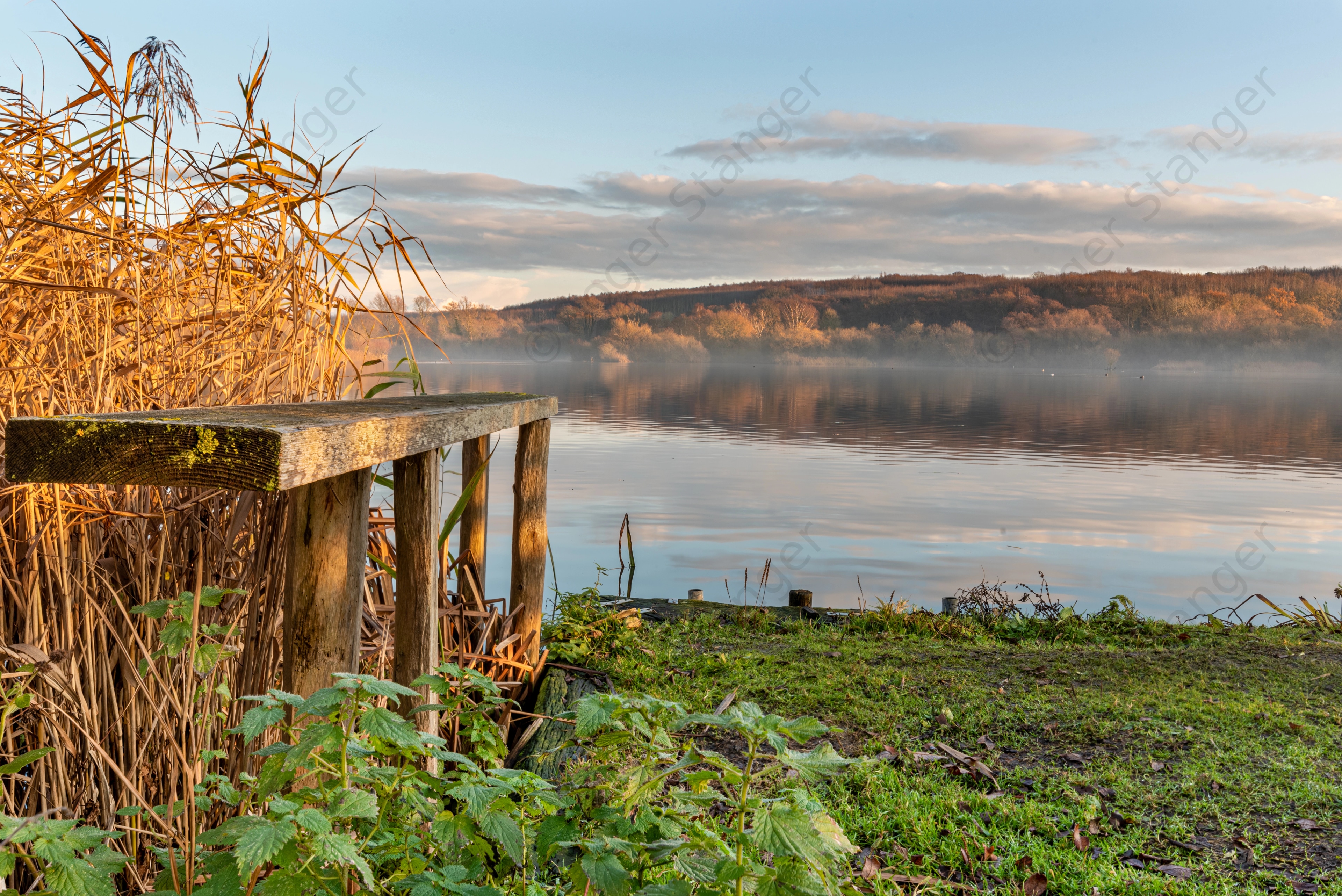 Fordwich Woodmans Winter Sun And Bench