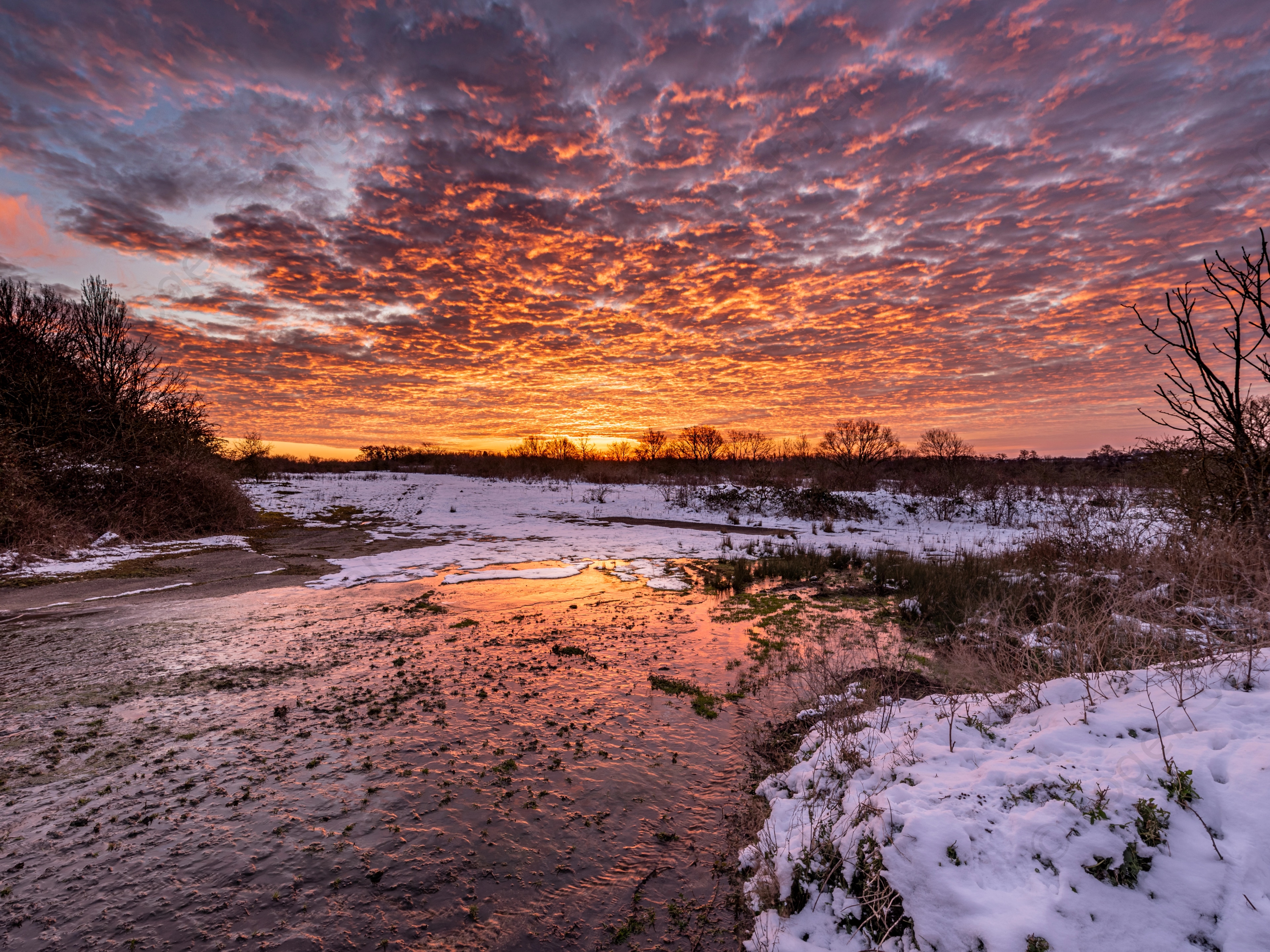 Hersden Hoplands in the Snow