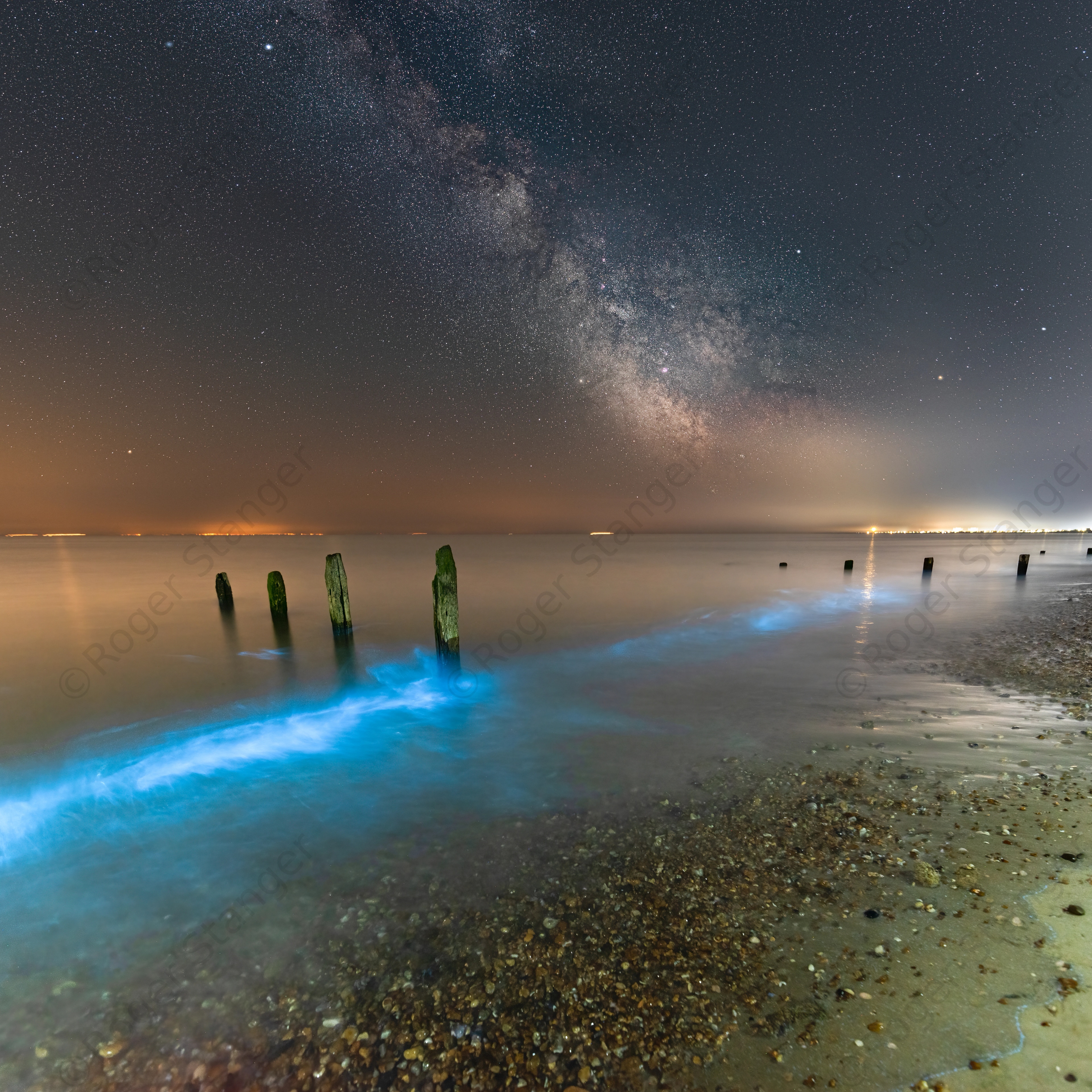 Littlestone Bioluminescent Plankton