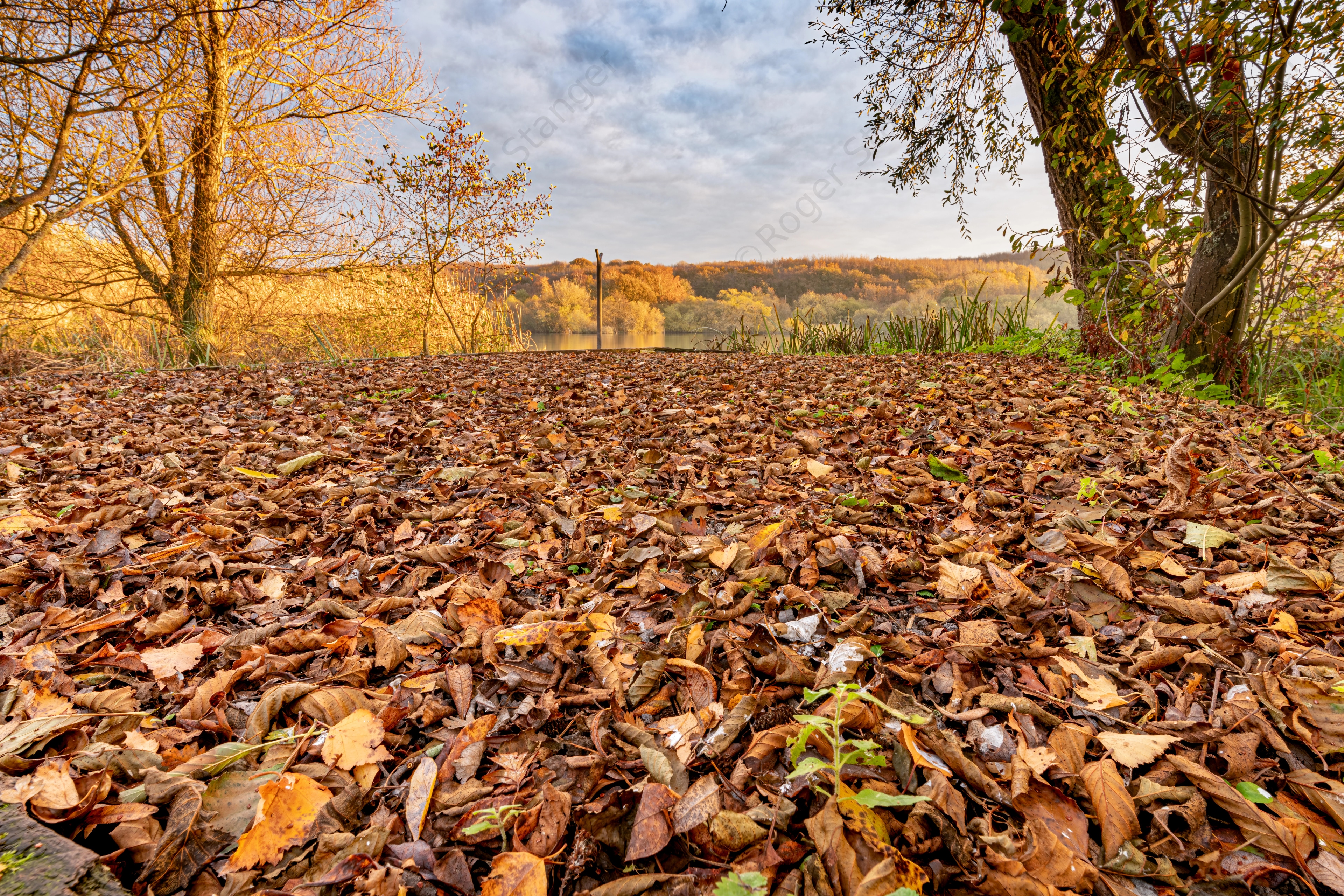 Fordwich Nov 2021 