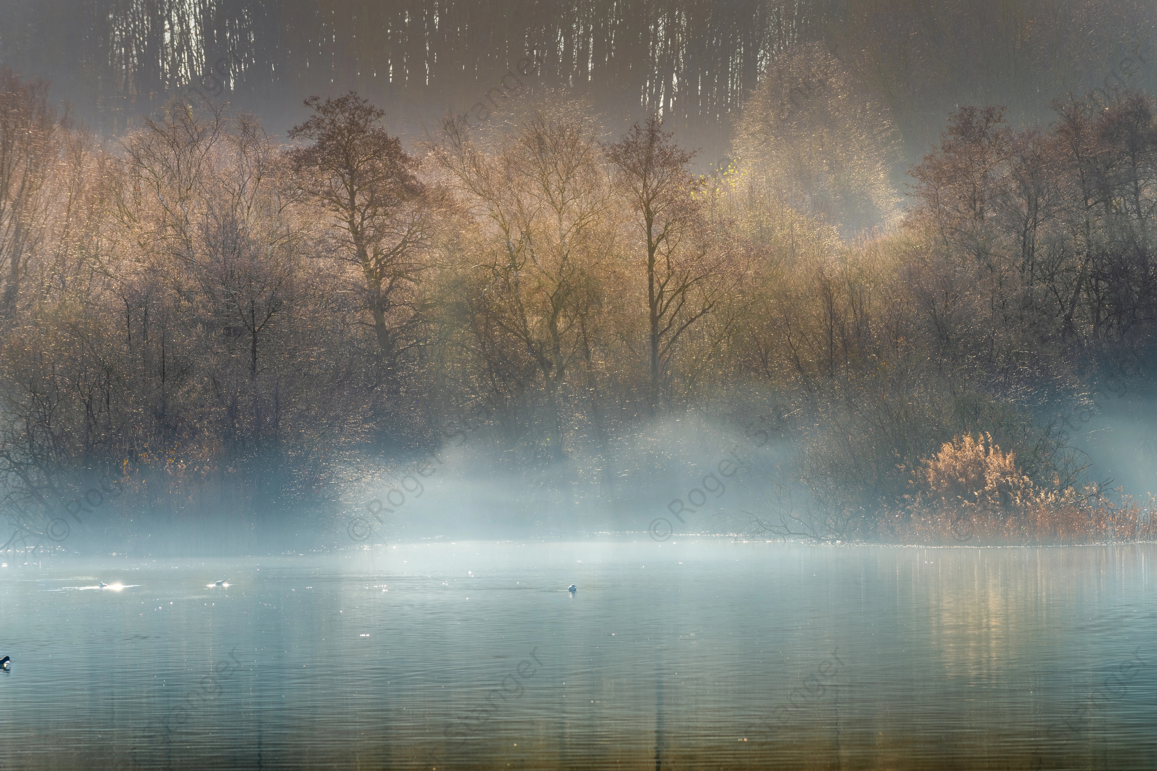 Fordwich In The Mist 