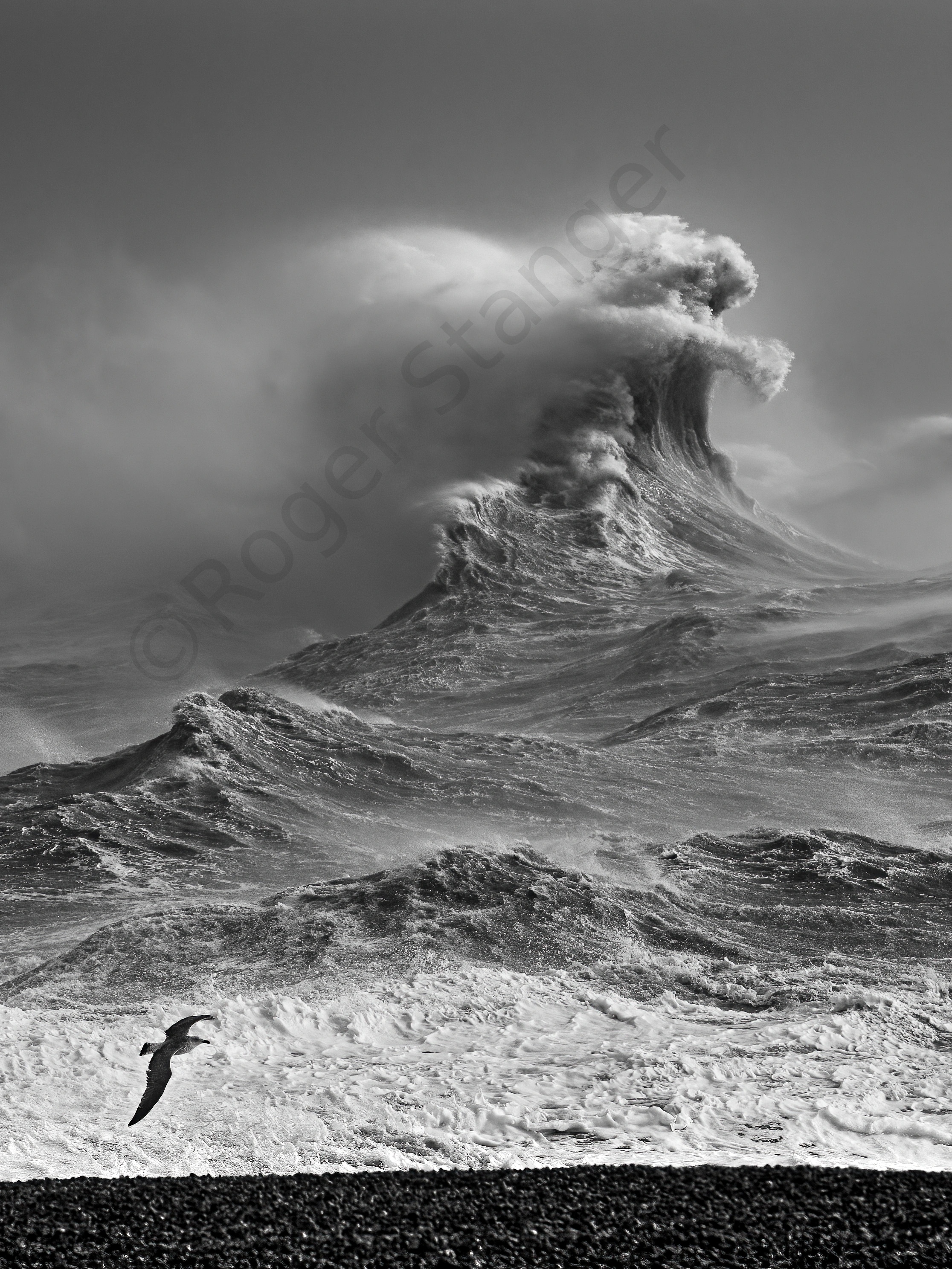 Folkestone Rotunda Storm portrait