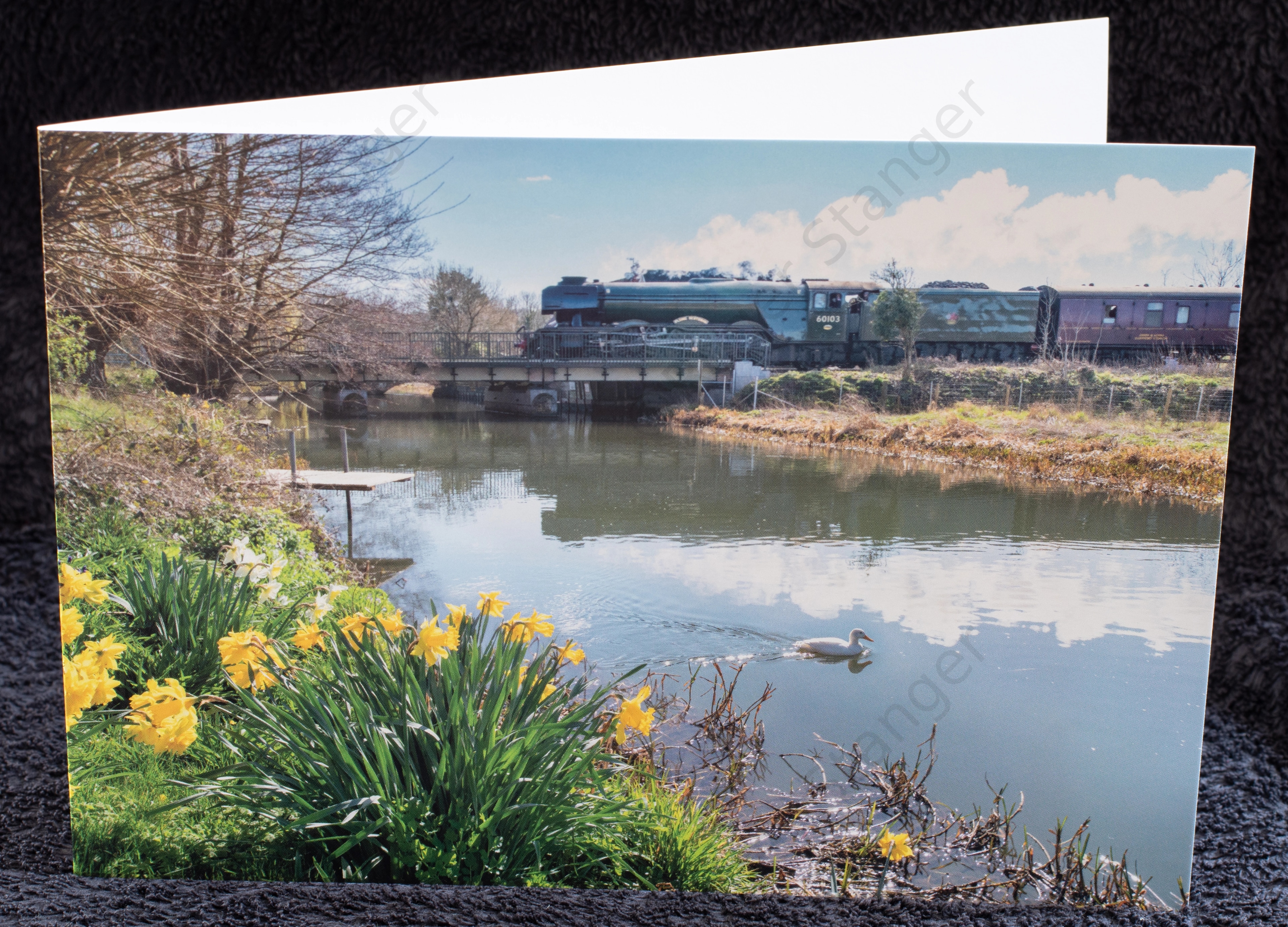 The Fying Scotsman at Chartham crossing the the River Stour card