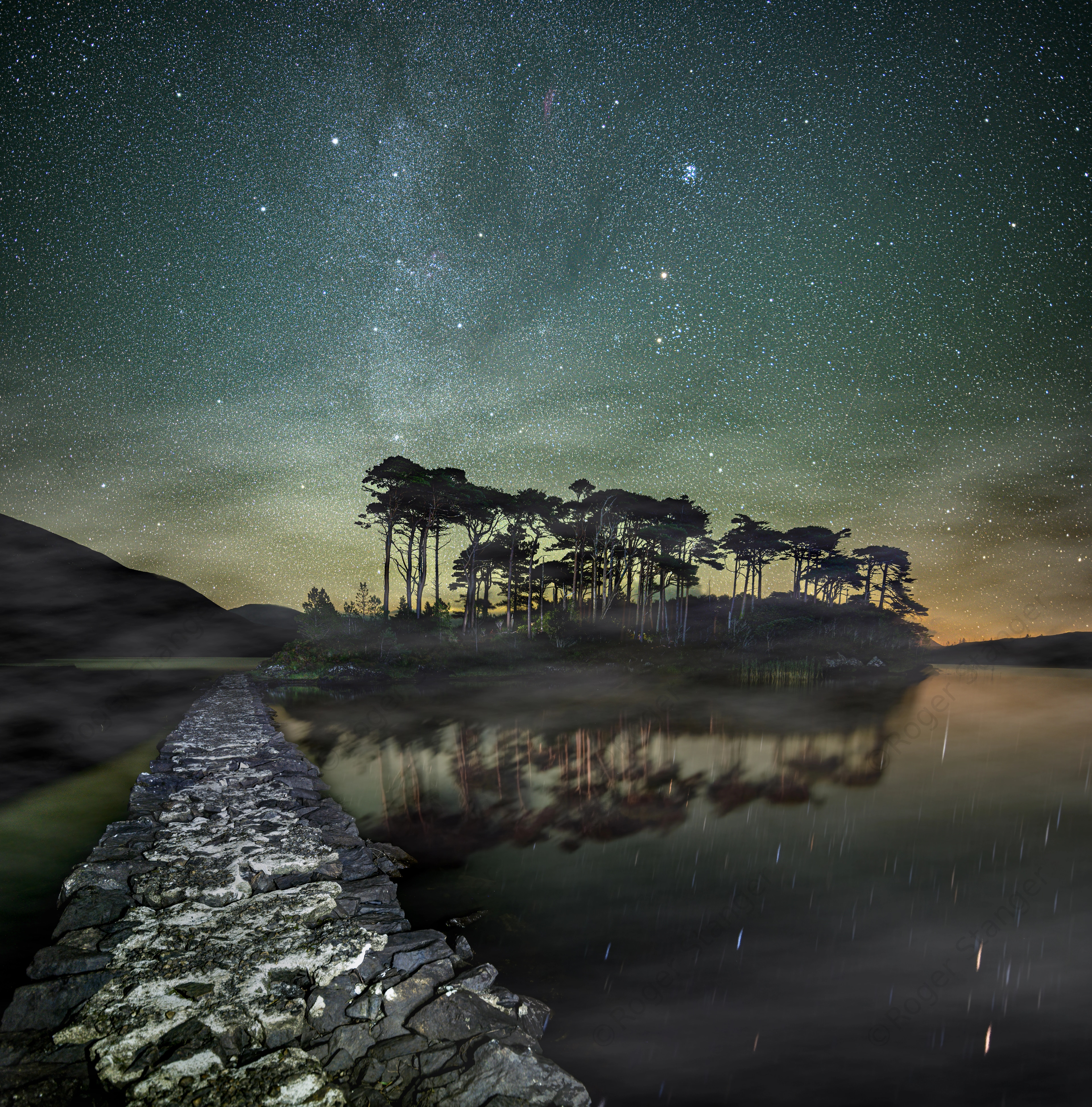 Ireland Pine Tree Island At Night 