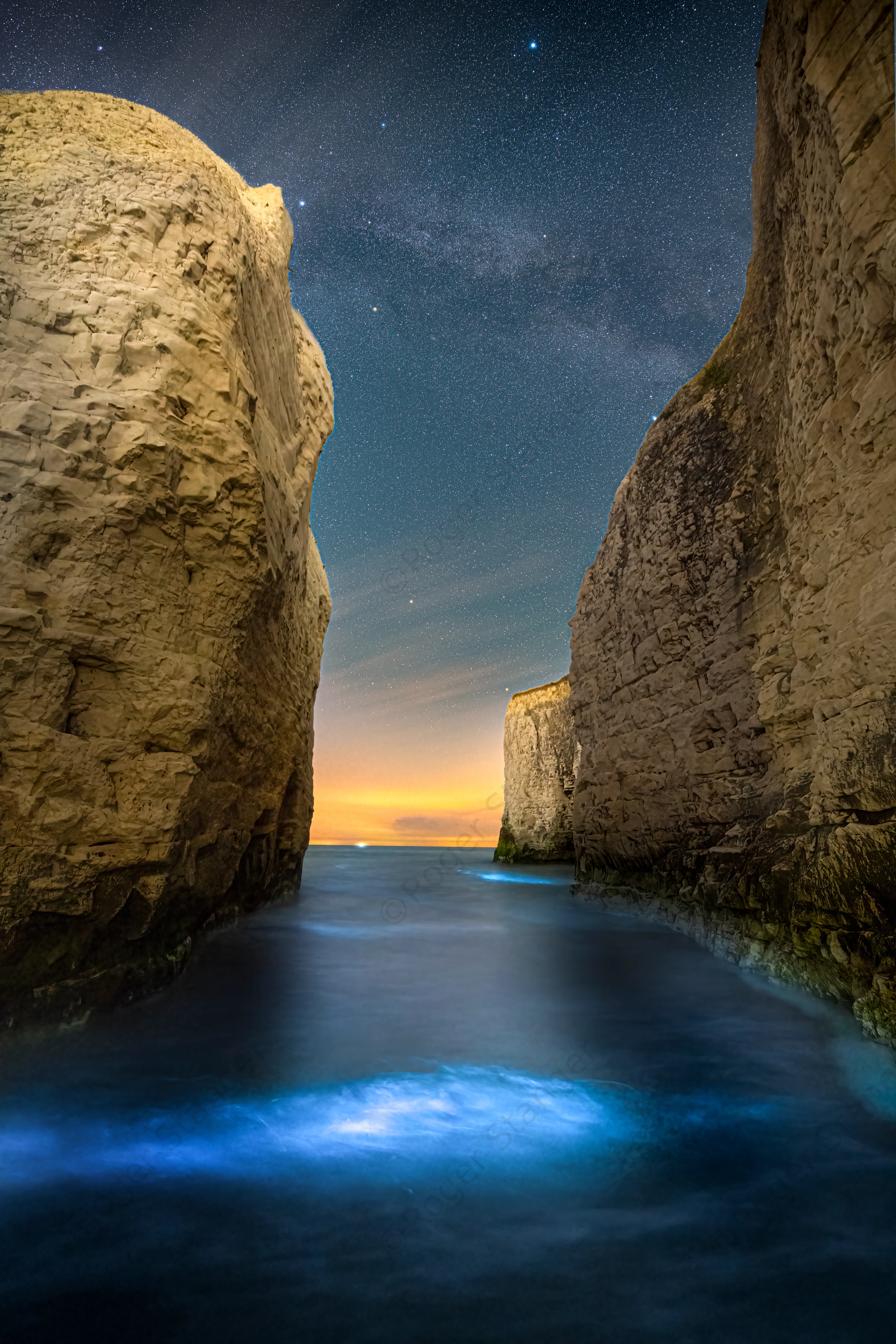 Botany Bay Stacks Bioluminescence Portrait