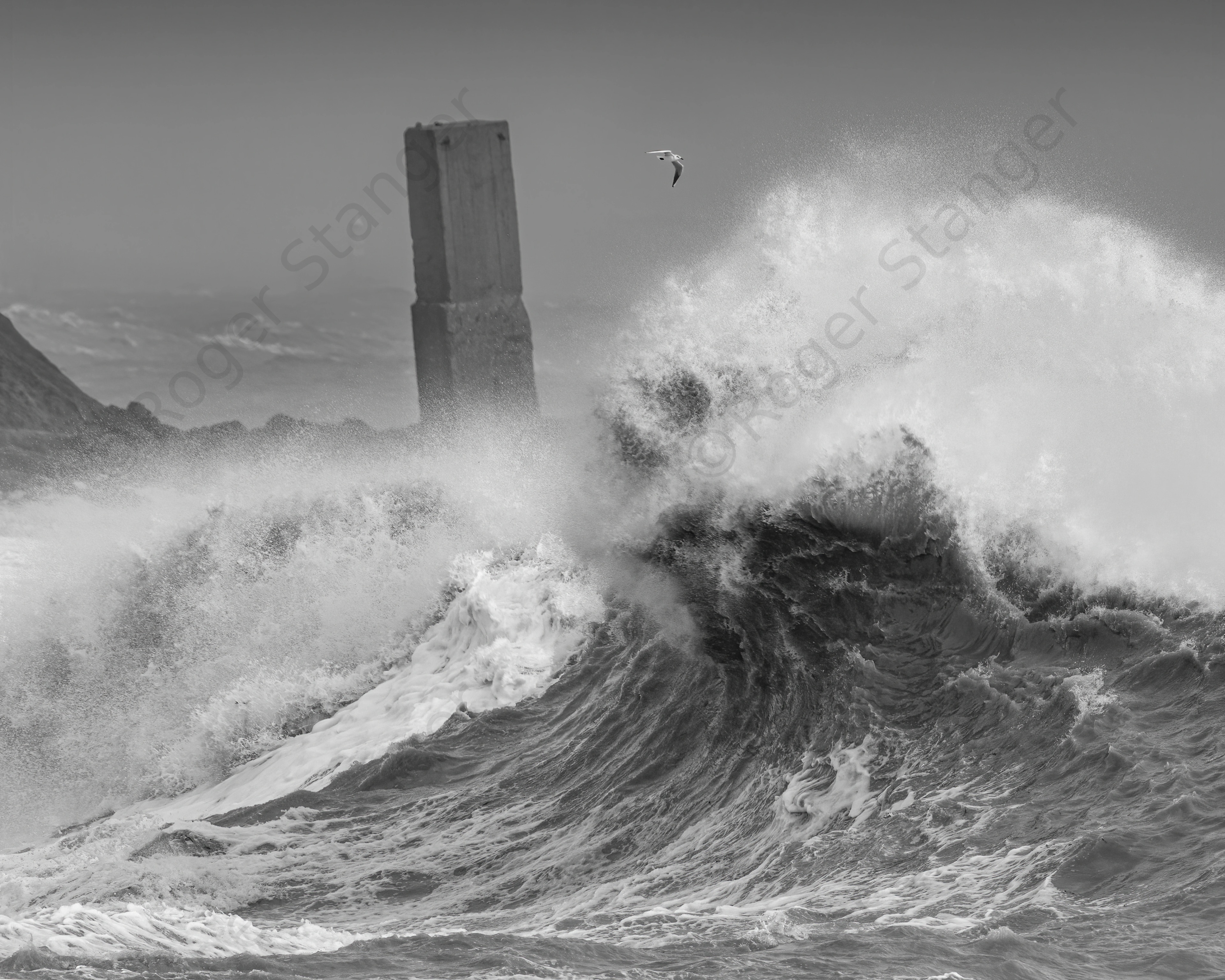 Folkestone Ciara Copt Point 