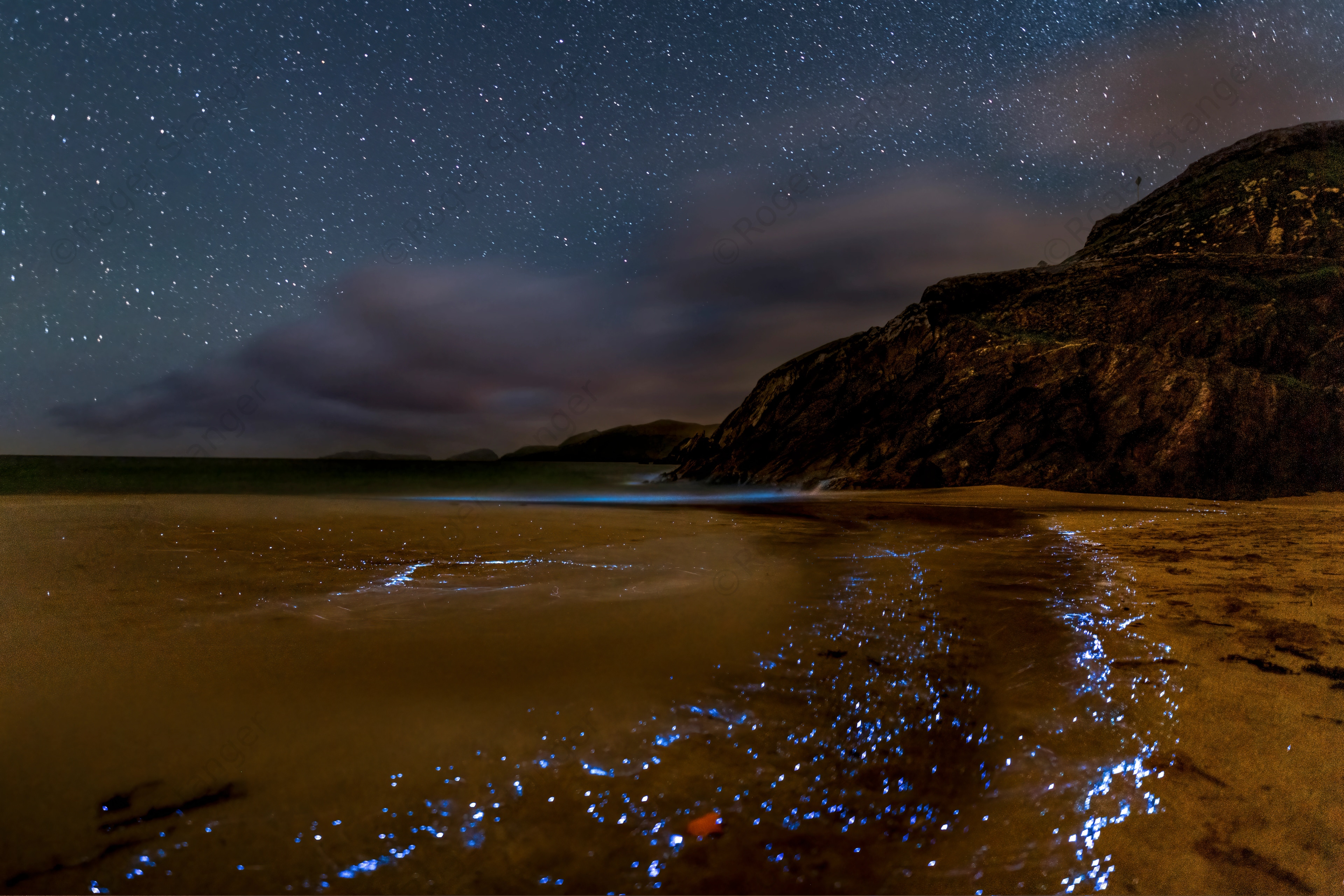 Ireland Coumeenoole Beach And Bioluminescence 