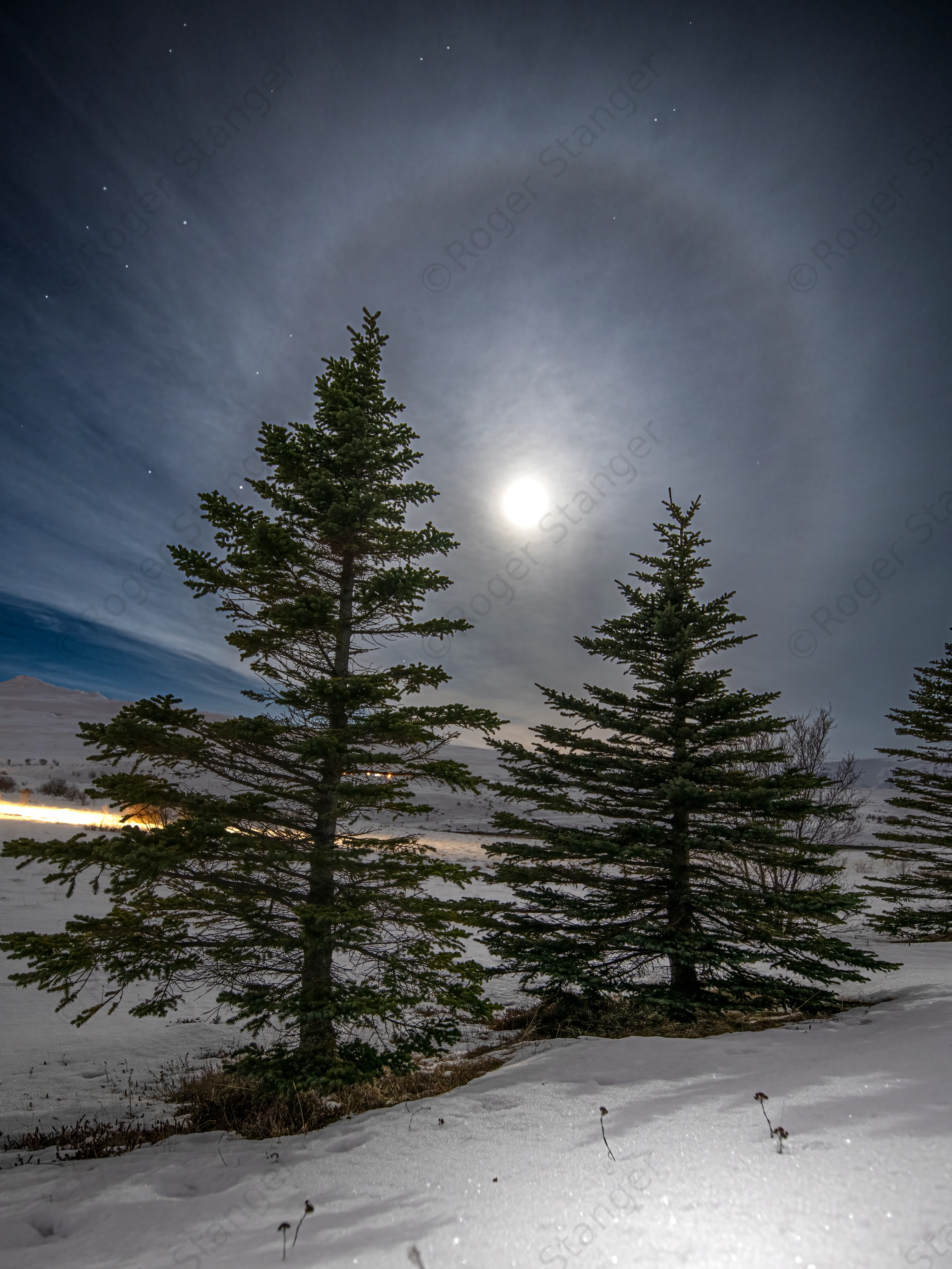 Iceland Moon Halo Trees