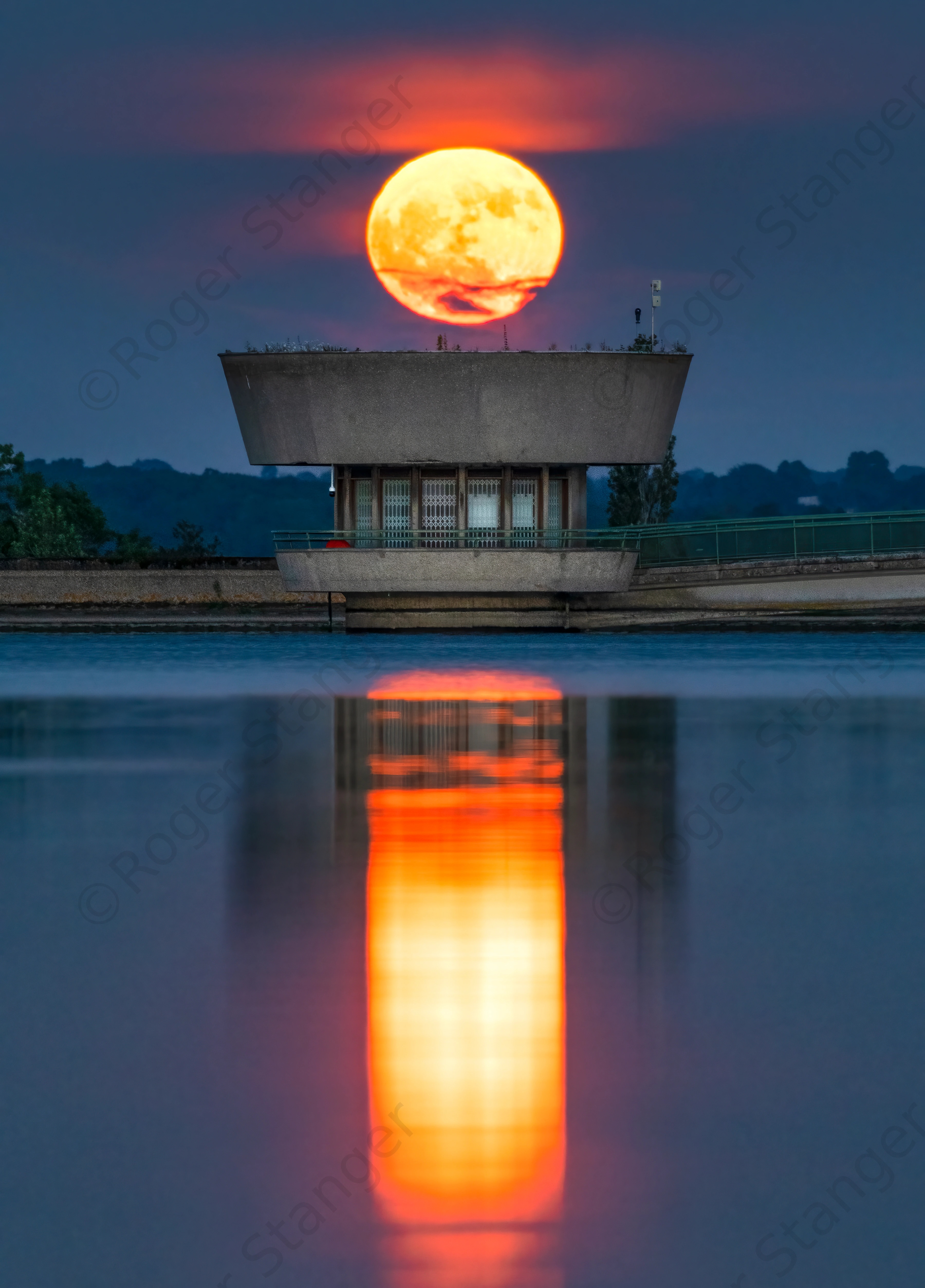 Bough Beech Flower Moonrise