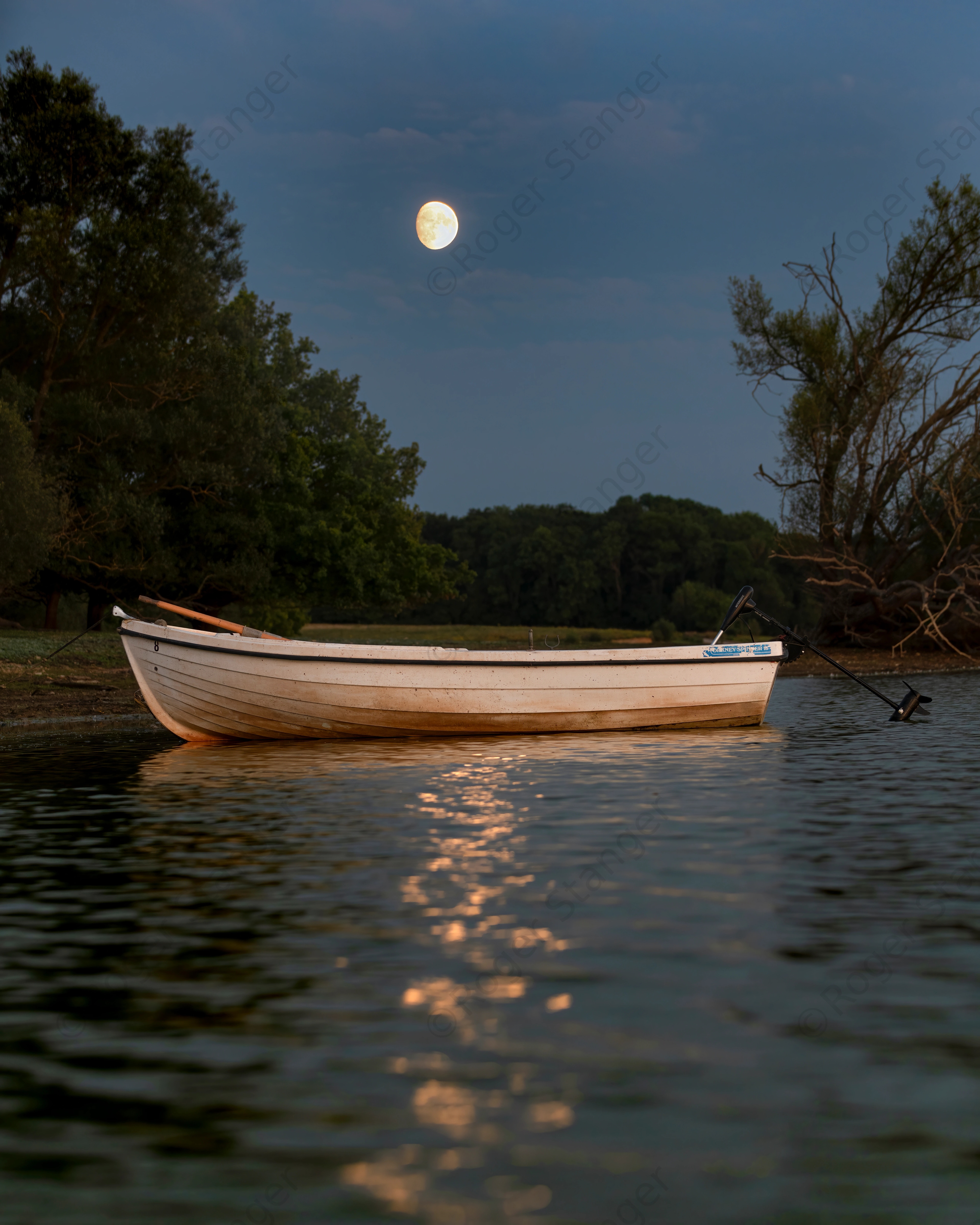 Bough Beech Moonrise over Lucky 8