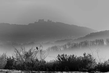 Dover Castle And Buzzard black and white