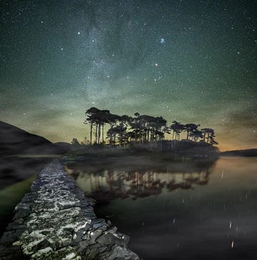 Ireland Pine Tree Island At Night 