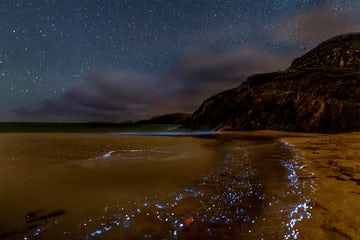 Ireland Coumeenoole Beach And Bioluminescence 